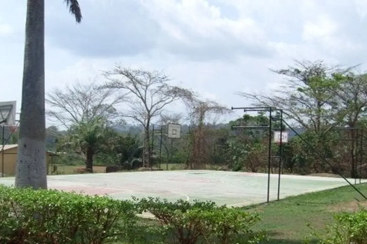 Cancha al aire con aros, vacía de primer plano de personas